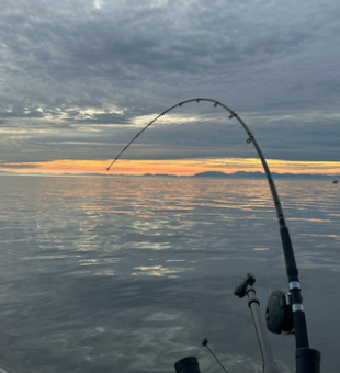 Vancouver fishing trips